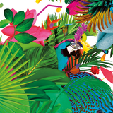 Corey Pryor Tropical house mix 31 -Live