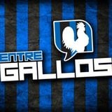 Entre Gallos 100112