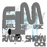 Luis Vela - Feel The Music Radio Show 001