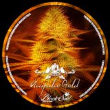 ACAPULCO GLOD(Original Mix) - BLACKY THE JUNKIE - 2012