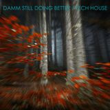 Damm Still Doing Better / tech house
