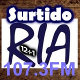 PROGRAMA 12+1 - Surtido RIA