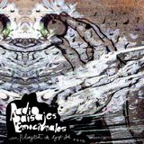 Radiopaisajes Emocionales - playlist