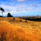Liquid Lowdown 07-03-2016 on New Zealand's Base FM 107.3