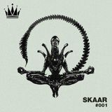 Skaar - Holy Mix 001
