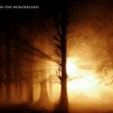 Welcome in the WonderLand