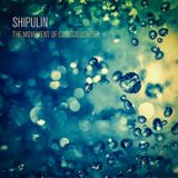 Shipulin - The movement of consciousness