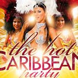 CARIBBEAN PARTY MIX ft DJ SPARKEY