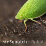Aphid - Tech and Progressive House Mix 2013