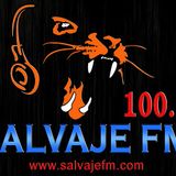 Guest Djs & Porducers Javier Orlando & Raul Carrasco en Salvaje FM - España - Con Andy Spinelli