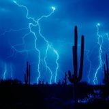 Digital Acid Trip's Electric Bass Storm Demo