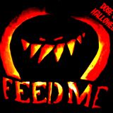 hallobeats dj feely