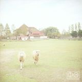 Gurun Gurun - Home Normal Mix