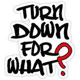 Turn Down 4 Nuthin'