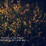 Atilla Altaci - Source of Life #12
