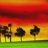 NT reggae/DnB #tape!