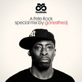 PETE ROCK BY GONESTHEDJ