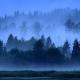 The wan light of dawn, selected by atsushi