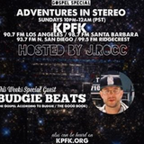 ADVENTURES IN STEREO w/ BUDGIE BEATS