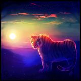 We are free to be free