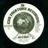 Can't Fool I: New Roots & Steppers Mix - Promomix Pt.2 for Sat Night Jamboree 6th Feb