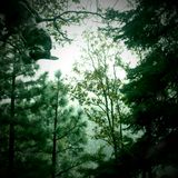 Best of 2011 part 1