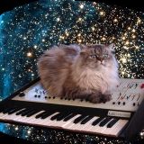 One Wub (Live 3.27)