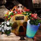 Q Fever - Crack Is Whack Mixtape
