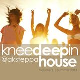 DJ A.K.STEPPA - KDIH 9 (SUMMER 2013 MIX)