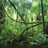 DJ Den - Welcome To The Jungle