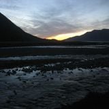 Tigers Night Sundawn