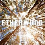 Etherwood mix