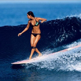 Surf's Up!