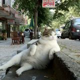 Trance & Progressive Mix 3