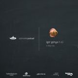 Submarine Podcast 022: Igor Gonya in the mix