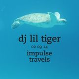 DJ LIL TIGER impulse mix. 02 september 2014 | whcr 90.3fm | traklife.com