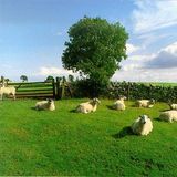 FJ Lovethis - Bestraxerial S02E07 - The KLF - Chill Out (UK) (1990) (Original mix)