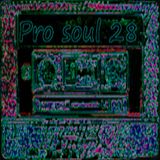 Pro Soul Vol.28
