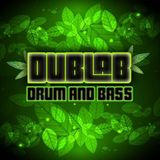 DubLab - Ragga Jungle Dnb Promo Mix 2015