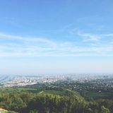 Wien, Wien, nur du allein...