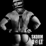 Skorm Volt - Poppers`n Dungeons