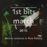 -<(Ô.ô)>- 1st bits march 2016 a.k.a. "deep blue widow spider"