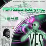 David Saints pres. Transcendental Radio Show #246 (13/04/2012)