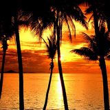 Desert Island Discs