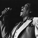 Bobby Blue Bland 1994-07-03 Newport Jazz Festival Saratoga