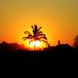 Summer Mix 2016/17