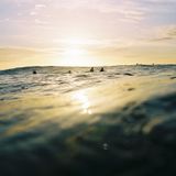 FullNelson's Summer Conscious 4
