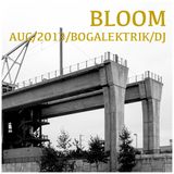 Bloom-Bogalektrik-Aug2013