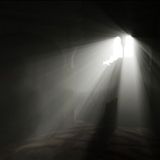 Contemplatio