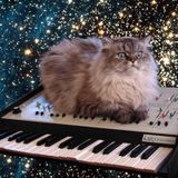 Nobody Listens To Techno